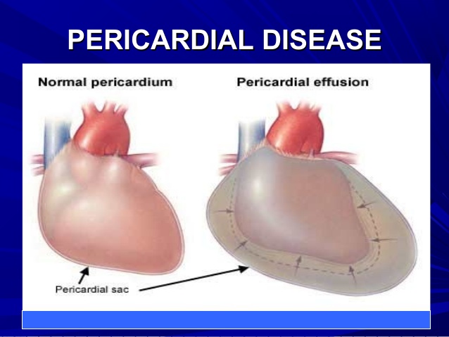 Cardiologist